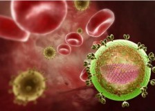 Виды и расшифровка анализа крови на инфекции