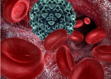 Зачем делают иммуноферментный анализ крови?