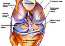 Определение масштаба травм на УЗИ коленного сустава