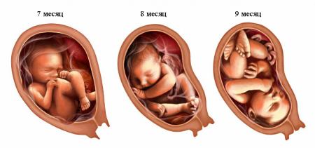 Развитие ребенка в третьем триместре беременности