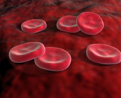 Повышенный или пониженный MCH в анализе крови — что значит?