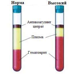 HCT в анализе крови – что это такое, что такое гематокрит в анализе крови? Низкий гематокрит, повышен гематокрит в крови
