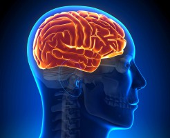 Можно ли часто делать МРТ головного мозга?