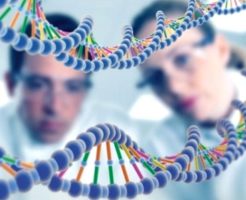 Где и как проводят тест ДНК на этническую принадлежность