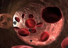 От чего зависит норма эритроцитов в крови у женщин?