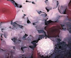 Какой должна быть норма лейкоцитов в крови у женщин?