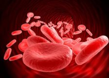 Установленная норма эритроцитов в крови у мужчин