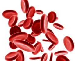 Последствия повышения гемоглобина в крови