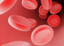 Какая норма эритроцитов в крови?