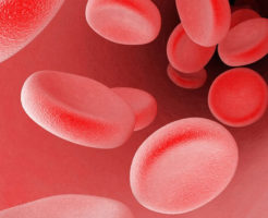 Какая норма эритроцитов в крови?