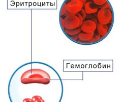 Значение средней концентрации гемоглобина в эритроците