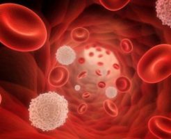 Показатели нормы лимфоцитов в крови у женщин