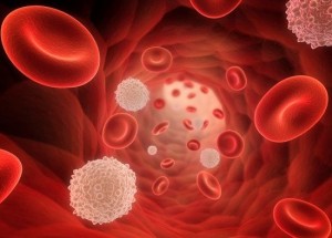 Норма лимфоцитов в крови у женщин после 60 лет