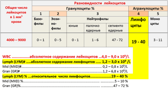 Количество стула в норме