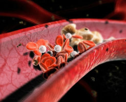 Развитие эритроцитоза — повышенного гемоглобина у мужчин